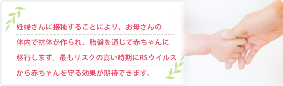 妊婦さんに接種することにより、お母さんの体内で抗体が作られ、胎盤を通じて赤ちゃんに移行します。最もリスクの高い時期にRSウイルスから赤ちゃんを守る効果が期待できます。